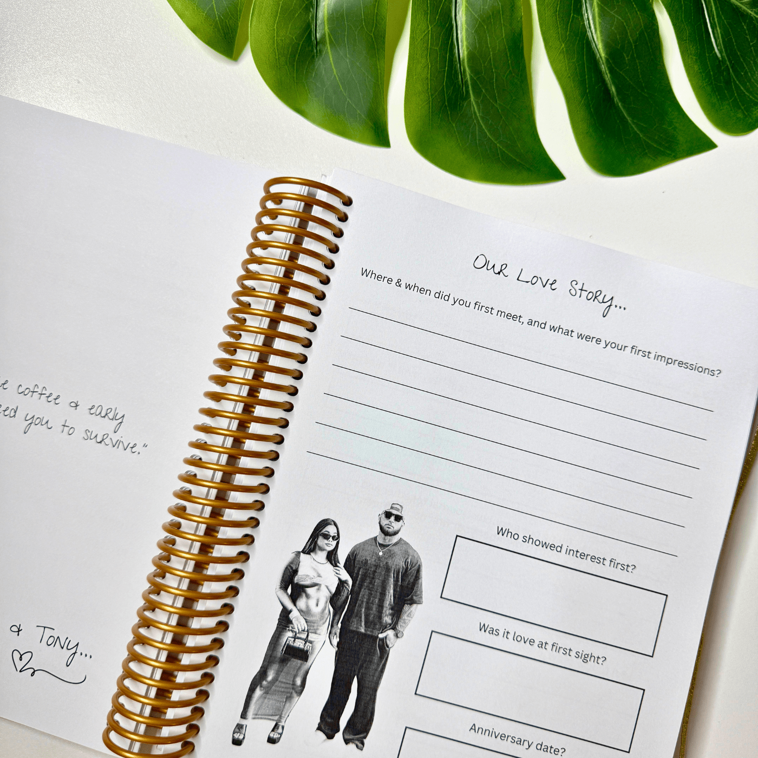 The Lovers Journal