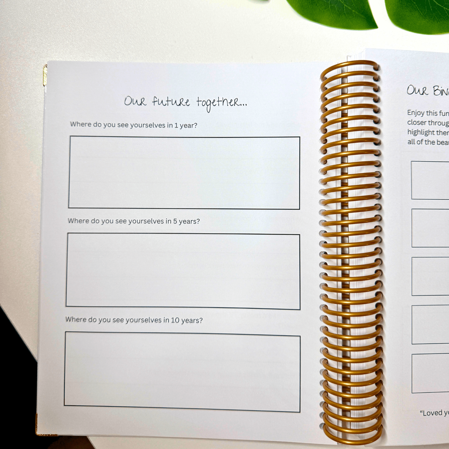 The Lovers Journal