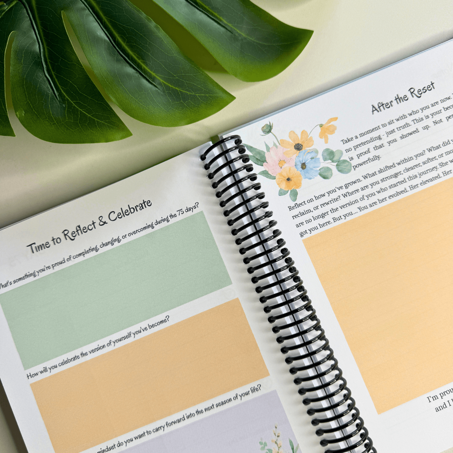 The 75-Day Reset Journal