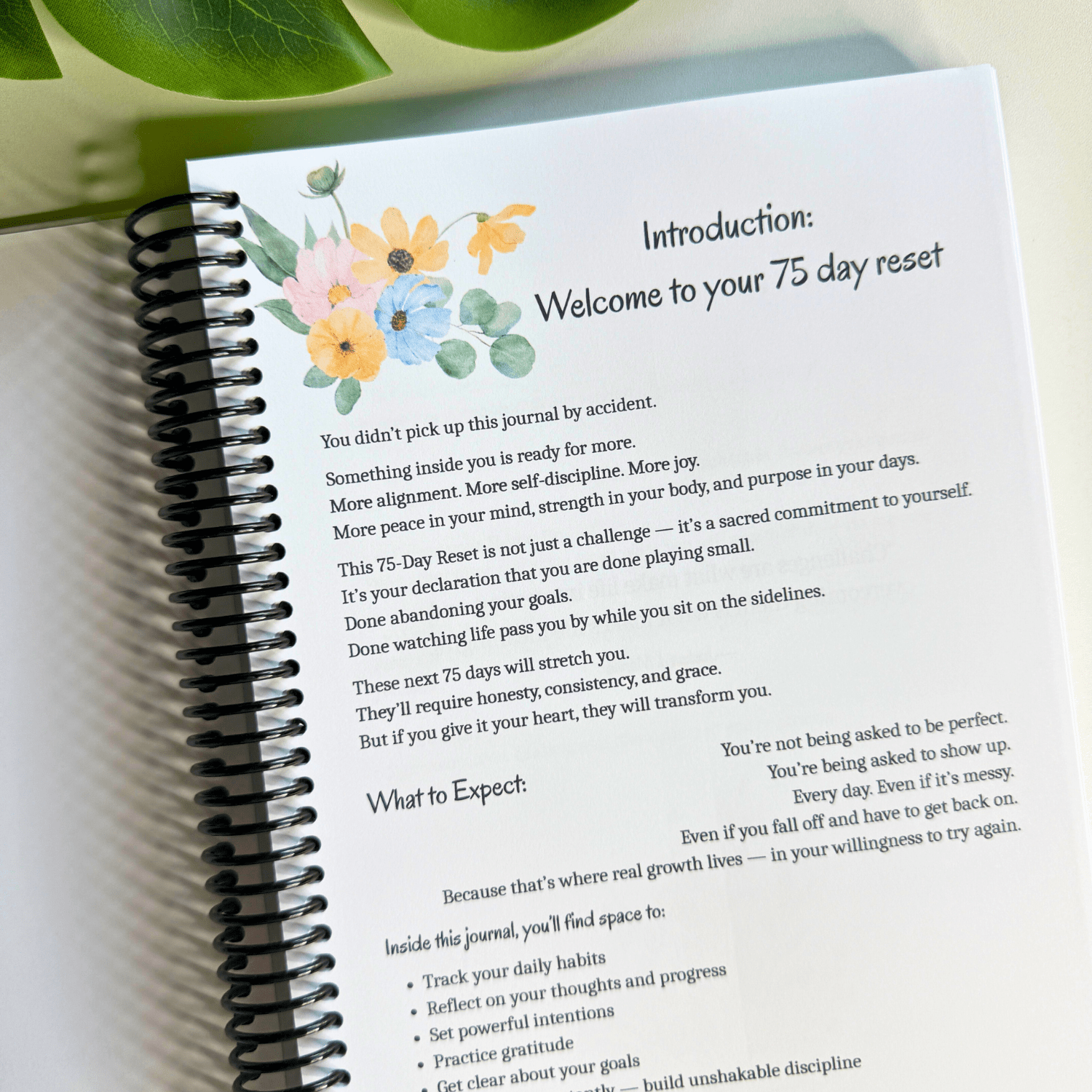 The 75-Day Reset Journal