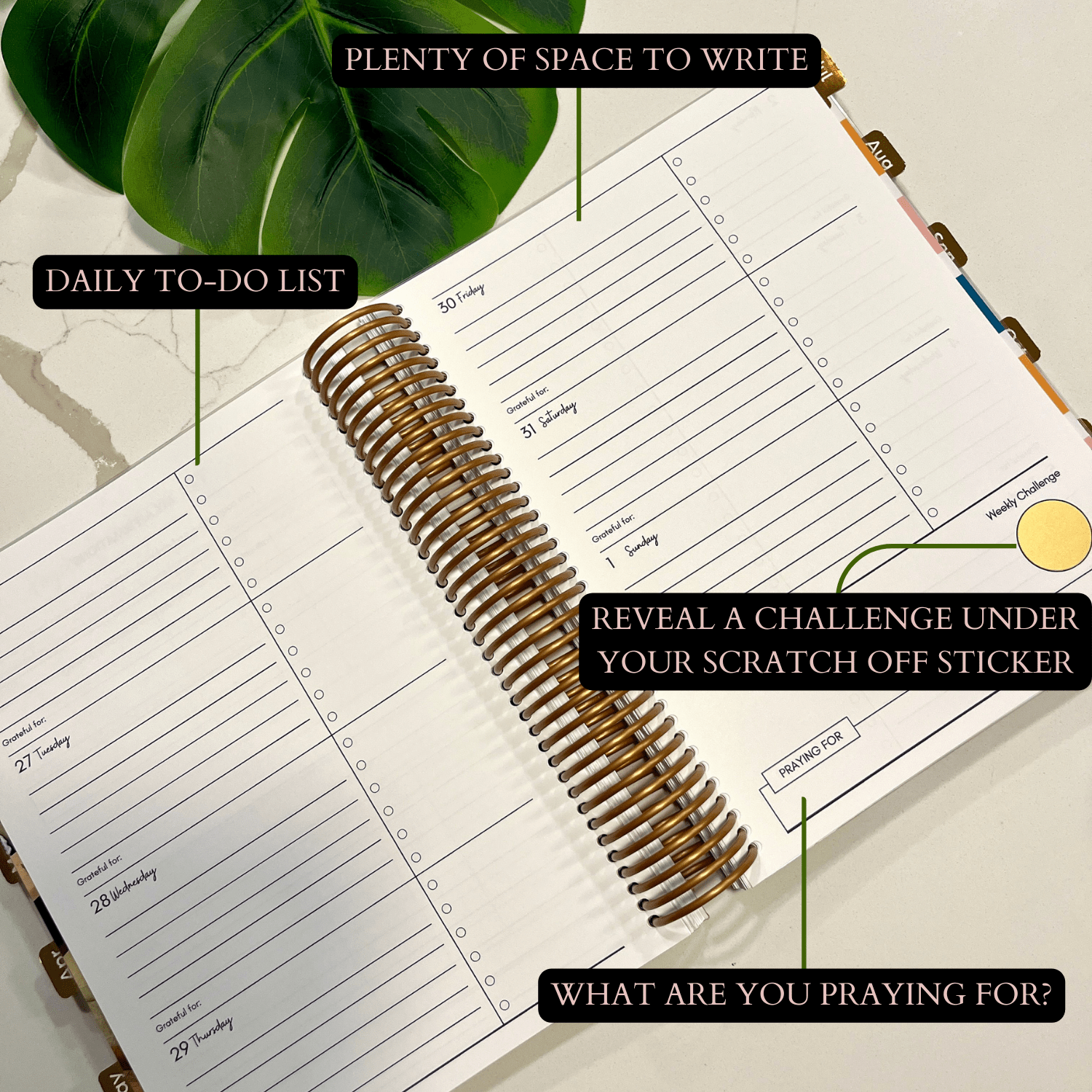 Custom Weekly Planner (Horizontal Lines)