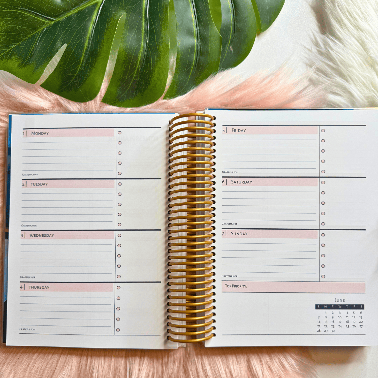 2026 Custom Weekly Planner