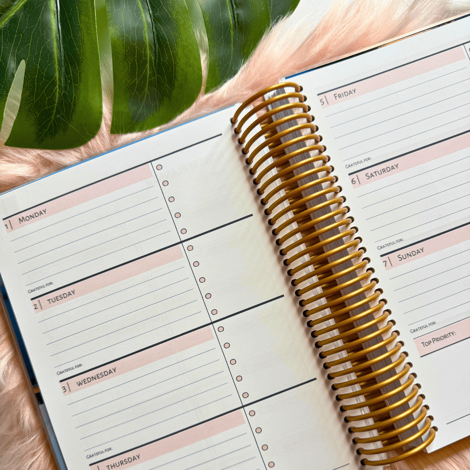 2026 Custom Weekly Planner