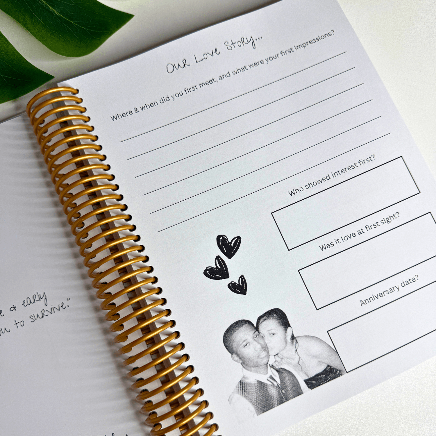 The Lovers Journal