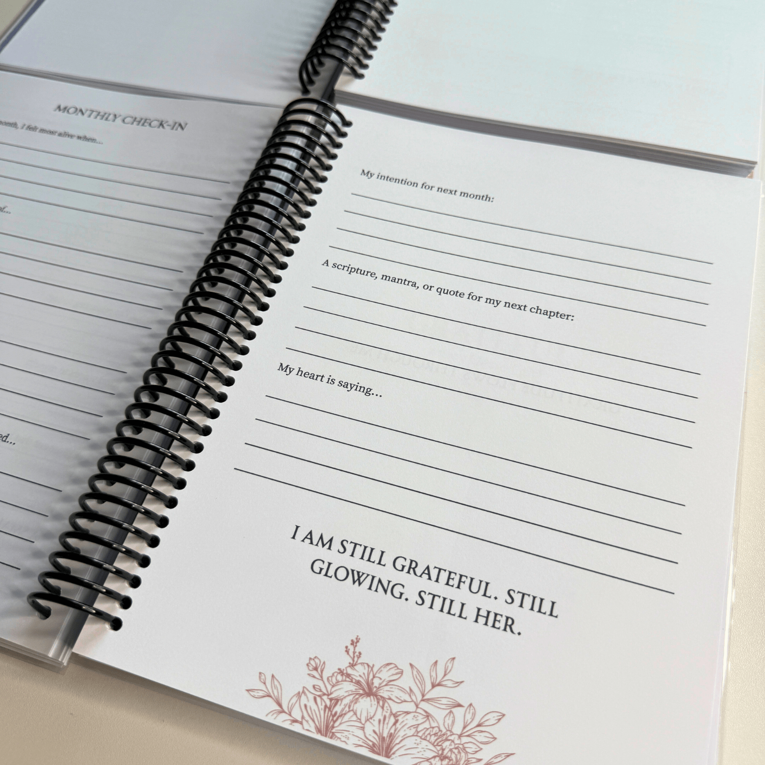 The Gratitude Journal