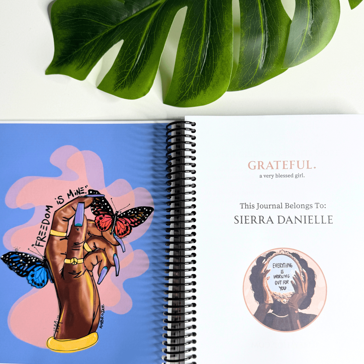 The Gratitude Journal