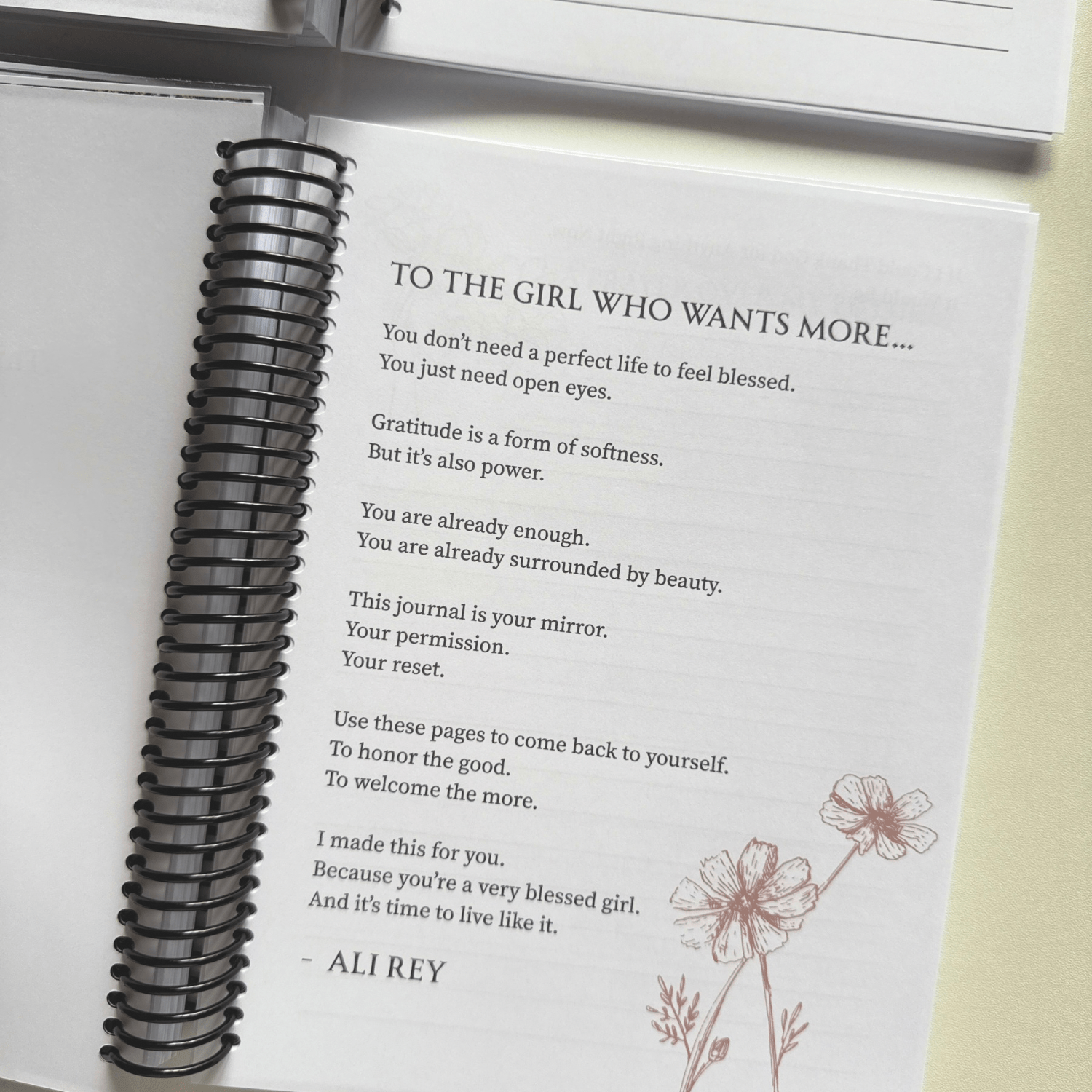 The Gratitude Journal