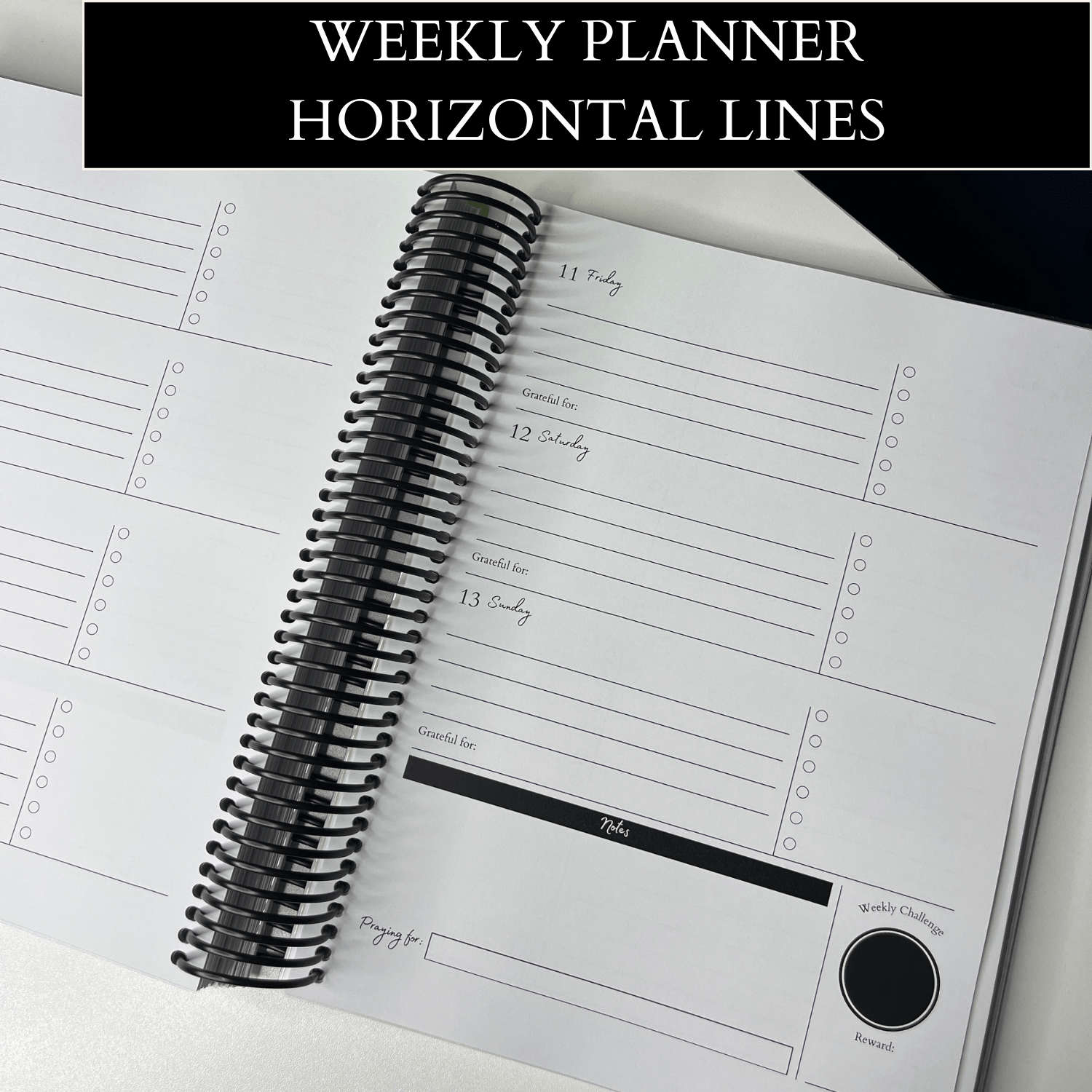THE ULTIMATE PLANNER GIRL